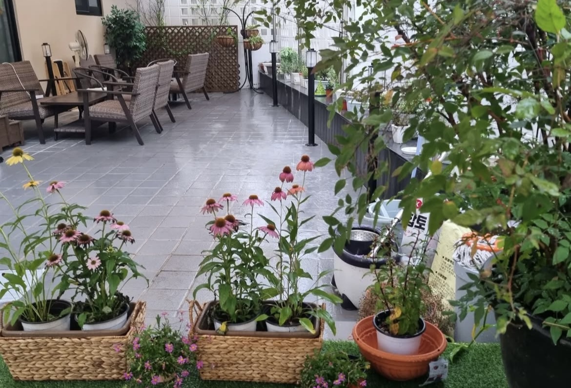 테라스 2 (사진7)